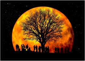 Quadro Decorativo Universo Planetas Paisagem Lua Salas Lojas Escritórios Quartos Com Moldura RC019