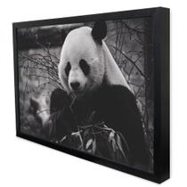 Quadro Decorativo Urso Panda em Moldura Caixa