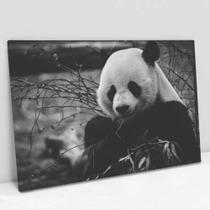 Quadro Decorativo Urso Panda em tela Canvas