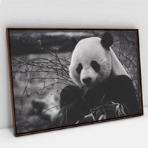 Quadro Decorativo Urso Panda em tela Canvas