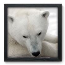 Quadro Decorativo - Urso Polar - 33cm x 33cm - 015qdsp