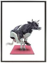 Quadro Decorativo Vaca Fazendo Yoga 33X24 C/Vidro - Preta