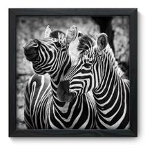 Quadro Decorativo - Zebras - 33cm x 33cm - 013qdsp