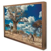 Quadro Decorativo Zebras na Selva em Moldura Caixa Quadro Decorativo Zebras na Selva em Moldura Caixa