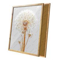 Quadro Dente de Leão Branco com Dourado Moldura e Vidro