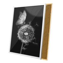 Quadro Dente de Leão e Borboleta moldura e Vidro