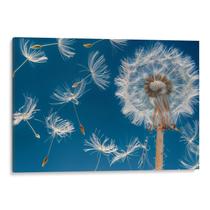 Quadro Dente de Leão em Dança Celestial