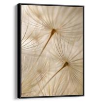 Quadro Dente de Leão - Encanto das Plumas Etéreas