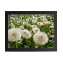 Quadro Dente De Leão Flor Jardim Moldura Preta 60X40Cm