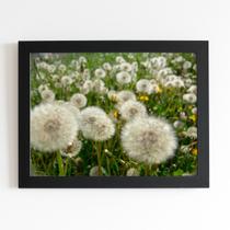 Quadro Dente de Leão Flor Jardim Moldura Preta 60x40cm