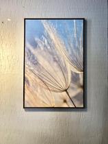 Quadro Dente De Leão Planta Flor Amarela Moldura