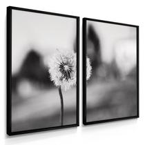 Quadro Dente de Leão Preto e Branco 55X40 Com Moldura Quadro Dente de Leão Preto e Branco 55X40 Com Moldura