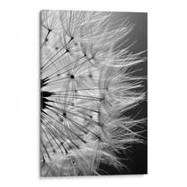 Quadro Dente de Leão Preto e Branco em Silêncio Delicado