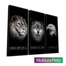Quadro Disciplina, Execução e Foco 3 Peças