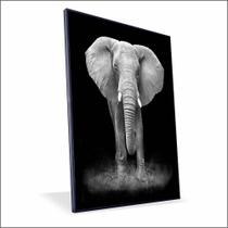 Quadro Elefante Canvas Com Vidro
