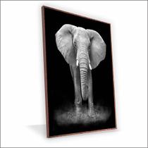 Quadro Elefante Canvas Com Vidro