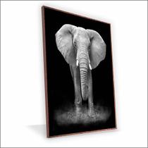 Quadro Elefante Canvas Sem Vidro