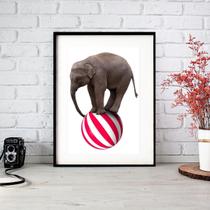 Quadro Elefante De Circo - 60X48Cm