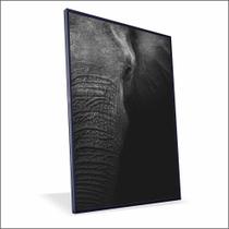 Quadro Elefante Lateral Canvas Com Vidro