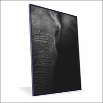 Quadro Elefante Lateral Canvas Sem Vidro