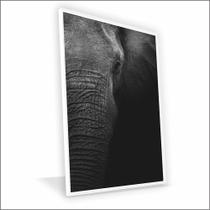 Quadro Elefante Lateral Vinil Sem Vidro