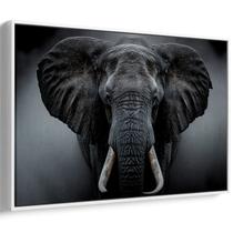 Quadro Elefante Majestoso na Névoa Ancestral