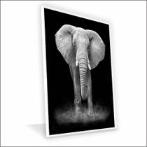 Quadro Elefante Vinil Com Vidro