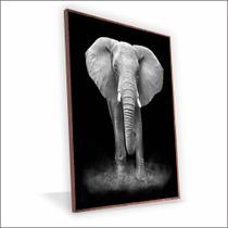 Quadro Elefante Vinil Sem Vidro