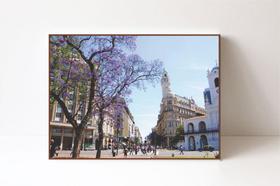 Quadro em Canvas Cabildo de Buenos Aires