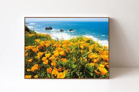 Quadro em Canvas Flores Califórnia