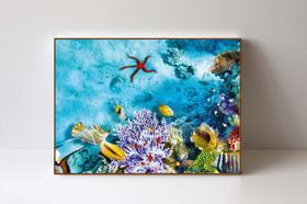 Quadro em Canvas Fundo do Mar