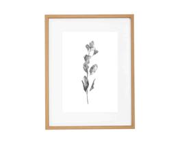 Quadro em MDF e Vidro 17621 B Mart