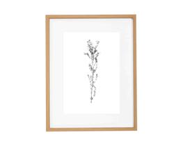 Quadro em MDF e Vidro 17621 C Mart