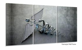 Quadro Em Tecido Medicina Contabilidade Caduceu Cinza 120x60 3 peças