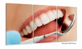 Quadro Em Tecido Odontologia Decorativo Sorriso Espelho 3 peças