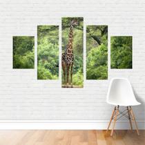 Quadro em tela Canvas Girafa e Floresta Girafídeo 110x65