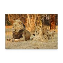 Quadro Família de Leão Lion Family Selva Savana Africana Decorativo Moderno Para Sala Escritório Grande - Bimper