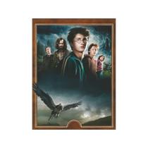 Quadro Filme Harry Potter Mini 653