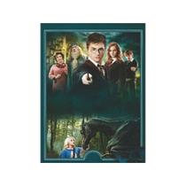 Quadro Filme Harry Potter Mini 654