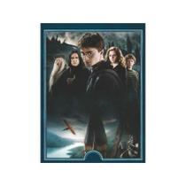 Quadro Filme Harry Potter Mini 656