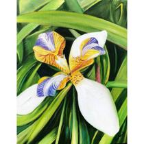 Quadro Flor de Irís da Praia Orquídea Pintura Óleo Sobre Tela