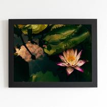 Quadro Flor de Lótus Rosa Natureza Moldura Preta 60x40cm Quadro Flor de Lótus Rosa Natureza Moldura Preta 60x40cm
