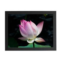 Quadro Flor De Lótus Rosa Orvalho Foto Moldura Preta 60X40Cm