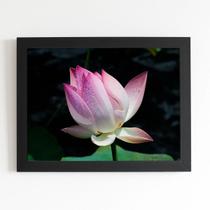 Quadro Flor de Lótus Rosa Orvalho Foto Moldura Preta 60x40cm Quadro Flor de Lótus Rosa Orvalho Foto Moldura Preta 60x40cm