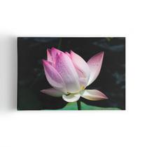 Quadro Flor De Lótus Rosa Orvalho Fotografia Canvas 60X40Cm