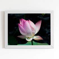Quadro Flor de Lótus Rosa Orvalho Moldura Branca 60x40cm Quadro Flor de Lótus Rosa Orvalho Moldura Branca 60x40cm
