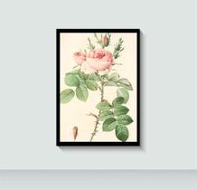 Quadro Flor Flores e Plantas com Moldura E Acetato Tamanho A3