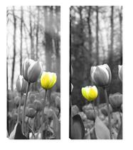 Quadro Floral Tulipas par 20x60 Atelier Valverde