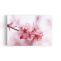 Quadro Flores De Cerejeira Rosa Sakura Foto Canvas 60X40Cm