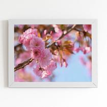 Quadro Flores de Cerejeira Sakura Rosa Foto Canvas 60x40cm
